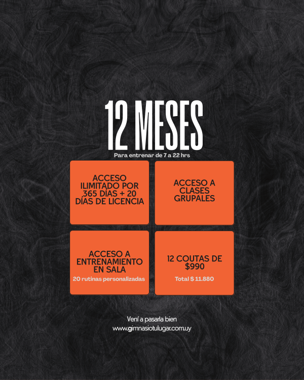 12 meses