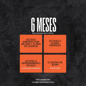 6 Meses