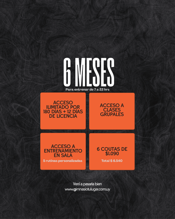 6 Meses